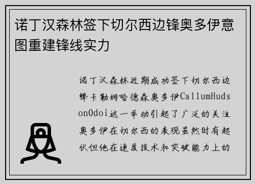 诺丁汉森林签下切尔西边锋奥多伊意图重建锋线实力